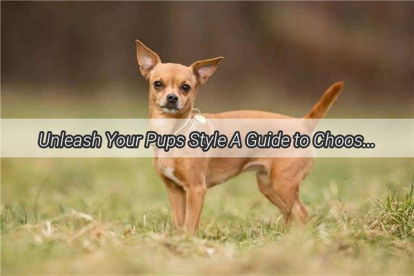 Unleash Your Pups Style A Guide to Choosing the Perfect Fabric for Your Dogs Dress